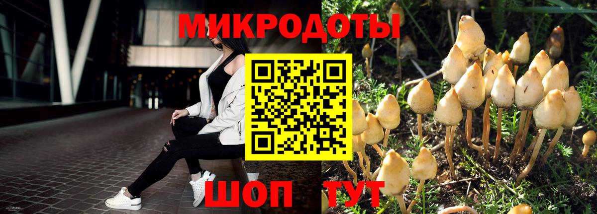 Псилоцибиновые грибы мухоморы  Вход с VPN  Кохма 