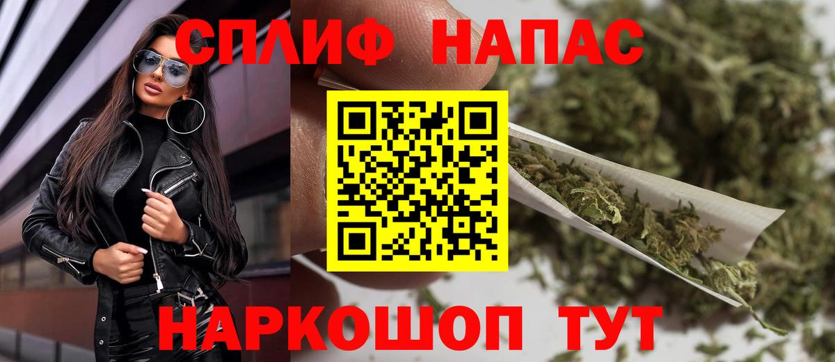 Каннабис планчик Кохма